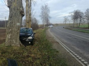 Samochód rozbity na drzewie. Widok z przodu pojazdu. W tyle widać łuk drogi.