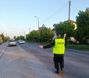 Policjant stoi na poboczu drogi. W ręce trzyma tarczę do zatrzymywania pojazdów i daje znak do zatrzymania nadjeżdżającemu kierowcy.