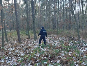 Dzielnicowy podczas patrolu w terenie leśnym.